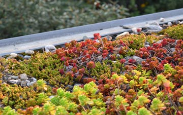 the cost of Swinton Bridge green roof installation