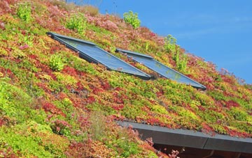Swinton Bridge living roof systems
